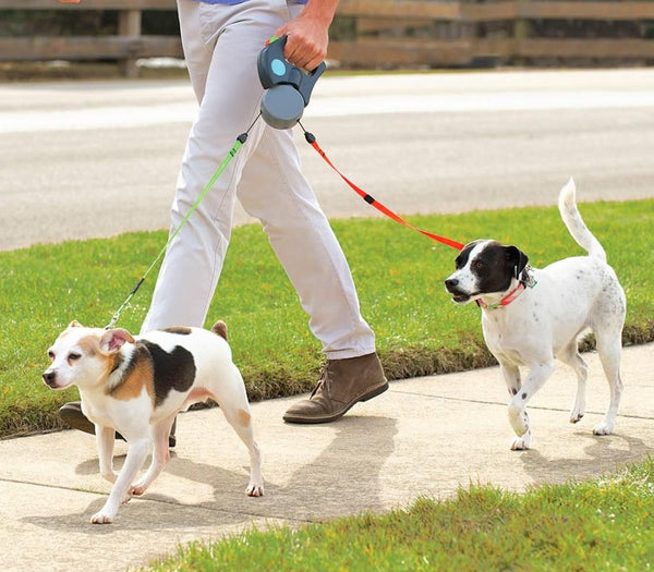 Flexi dual best sale dog leash